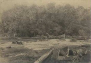 Rio Jatoba