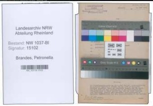 Entnazifizierung Petronella Brandes , geb. 29.09.1895 ()