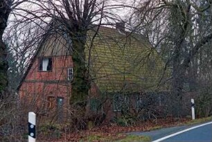 Pfefferberg (2): traufständige Fachwerkkate: Straßenfront: Giebelseite mit Eingangstür, oben Verbretterung, Giebelzier: davor Straßenbäume, Einfahrt