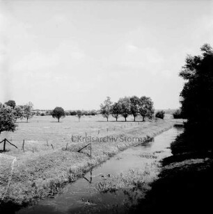 Heilsau: im Wasser Verkrautung: rechts auf Böschung Büsche: hinten rechts Baumreihe: links Wiesen und weitere Bäume