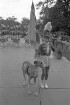 Auftritt der jugendlichen Garde-Tanzgruppe "Majorettes" aus Charmes-sur-Moselle bei Nancy auf der Seebühne im Stadtgarten.