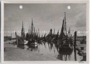 Büsum, Hafen