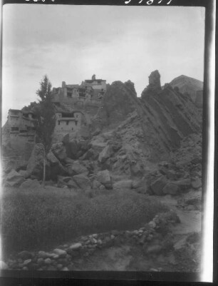 Indien. Kashmir. Ladakh. Oberes Industal. Gerstenfeld unterhalb des Klosters Basgo