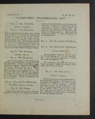 Vögel XVII. Waldhühner verschiedener Art.