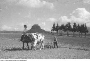 Landschaften, jugendliche Wandergruppe, 1948