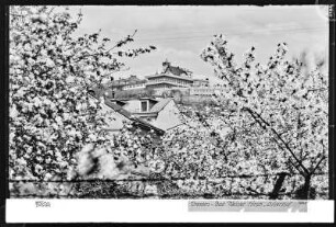 Dresden, Bad Weißer Hirsch, Luisenhof