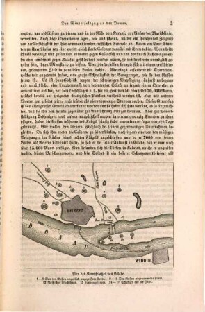 Der Kriegsschauplatz im Norden und Süden. [9], Der Winterfeldzug an der Donau