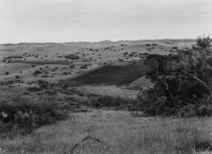 Landwirtschaftliche Anbaufläche : Landwirtschaftliche Anbaufläche