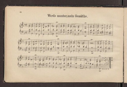 Werde munter, mein Gemüthe.