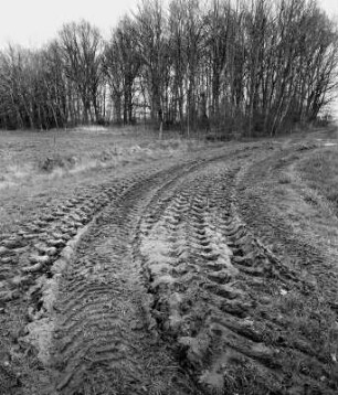 Dambeck, Wendland, Deutschland, 2001