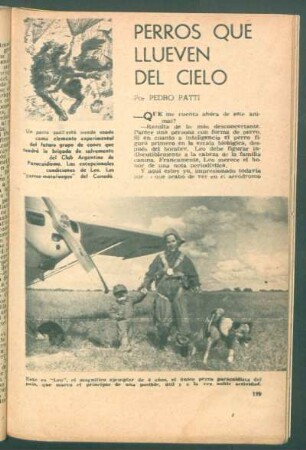 Perros que llueven del cielo