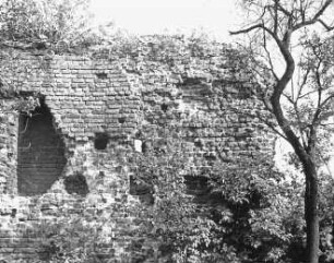 Gräfenhainichen, Mauerreste einer mittelalterlichen Burganlage, 1637 von schwedischen Truppen zerstört