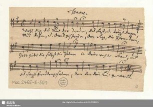 Tenore. [nur Choral]