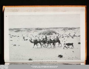 Wüsten-Steppe bei el Azizia in der Djefara