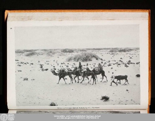 Wüsten-Steppe bei el Azizia in der Djefara