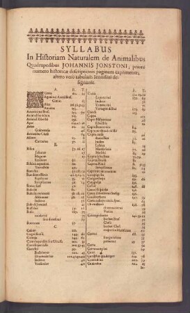 Syllabus