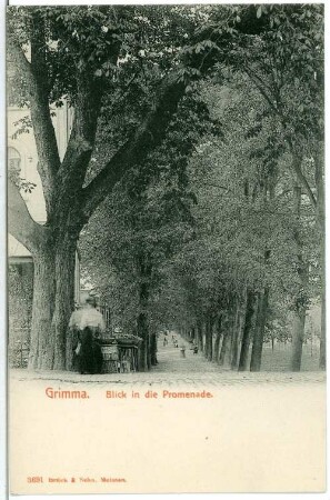 Grimma. Blick in Promenade