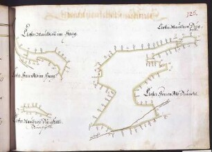 Sternenfelser Hut: Kloster Maulbronner Burgstall und Im Haag; Kloster Herrenalber Brunckel und Im Haag