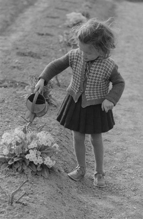 Ein kleines Mädchen gießt Blumen