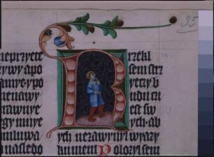 fol. 35r, Initiale mit Text