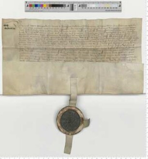 Herzog Heinrich zu Braunschweig-Lüneburg, Herzog Otten Sohn, hebt die Sate auf.