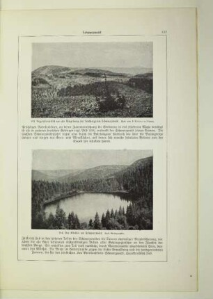 194. Der Wildsee im Schwarzwald