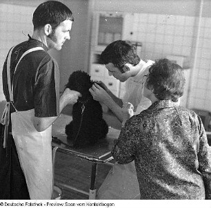 Tierklinik