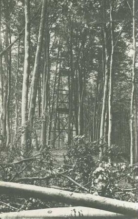 Artillerie-Beobachtungshochstand im Wald vor Brest-Litowsk, im Vordergrund geschlagene Baumstämme und ein Soldat
