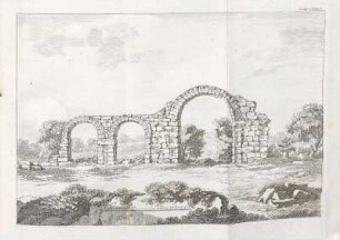 Tom I. Tab. V.