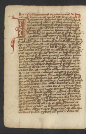 Tractatus de sanguine humano