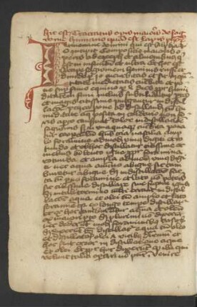 Tractatus de sanguine humano
