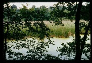 Havelland 6.6.79.