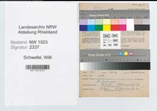 Entnazifizierung Willi Schwefel , geb. 01.12.1900 (Betriebsleiter)