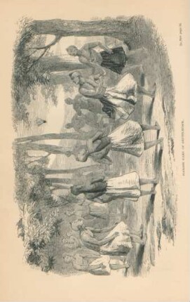 Siamese game of Shuttlecock
