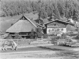 Im Dorf : Südtirol. Astfeld im Sarntal? Ein Pferd vor einem Gehöft mit Stall