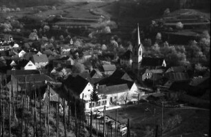 Bickensohl: Blick vom Weinberg auf den Ort