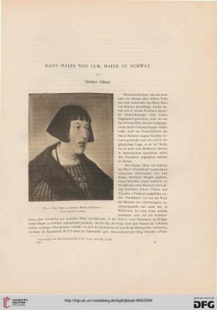 Hans Maler von Ulm, Maler zu Schwaz