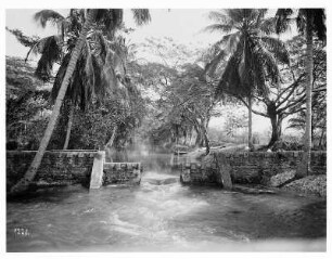 Rio Cobre-Kanal auf Jamaika : Weltreisen. Rio Cobre-Kanal auf Jamaika
