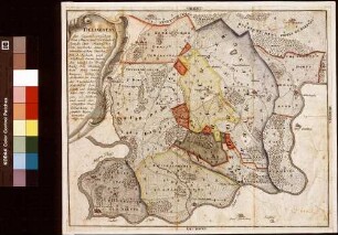 Delineatio der Gegend zwischen dem Main und der Tauber samt des kurmainzischen Orts Werbachs, dann derer würzburgischen Ortschaften Böttigheim und Neubrunn daranstoßenden nebst des bronnbachischen Orts Reicholzheim Dorfsgemarkung (Inselkarte)