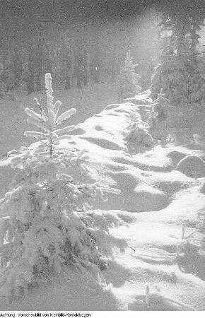 Winter, Landschaften, Skilangläufer, 1956/1957