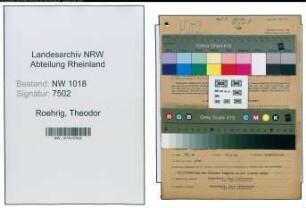 Entnazifizierung Theodor Roehrig , geb. 22.01.1909 (Spediteur)