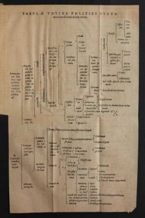 Tabulae Totius Politici Systematis ordinem delineantes.