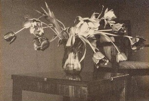 Tulpenarrangement im Hause Artin