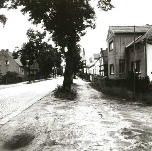 Tauer. Dorfstraße