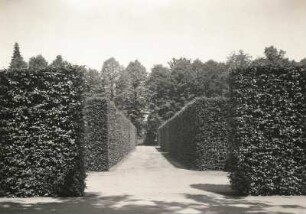 Elbtallandschaft. Pillnitz. Schloßpark, Heckengärten mit dem Elbufer
