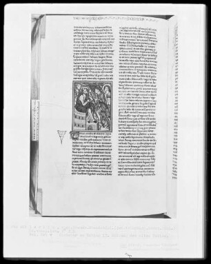 Heisterbacher Bibel — Heilung des Tobias, Folio 205verso