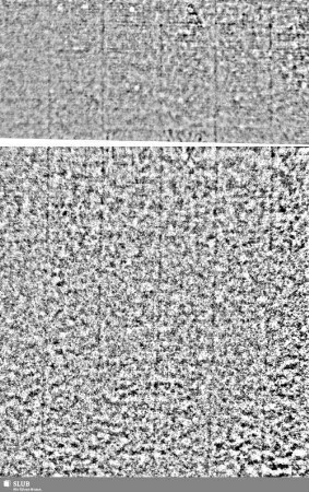 Lilienschild + IESV / LW = S.717/718+743/744