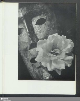 Maske mit Rose