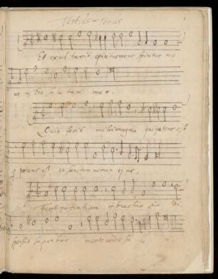 3. Magnificat Teritius Tonus