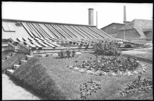 Freiberg. Düngerfabrik Schippan, Gewächshaus